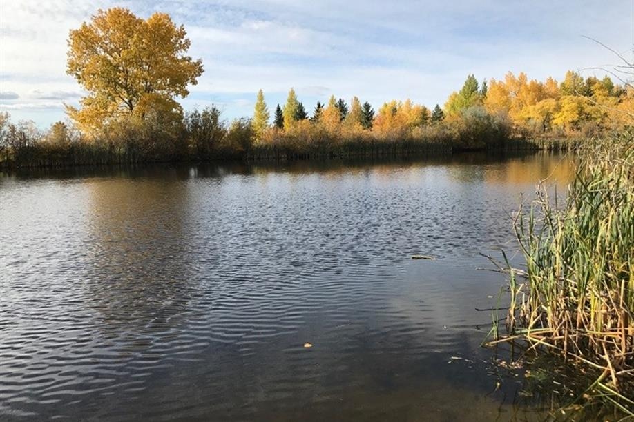 David Laird Campground