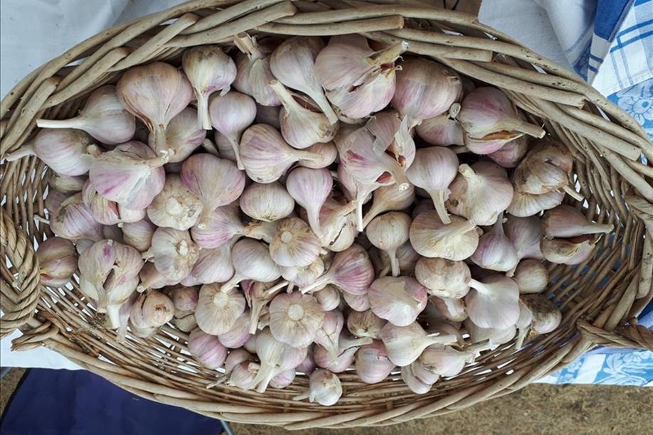 Fort Qu'Appelle and District Farmers' Market