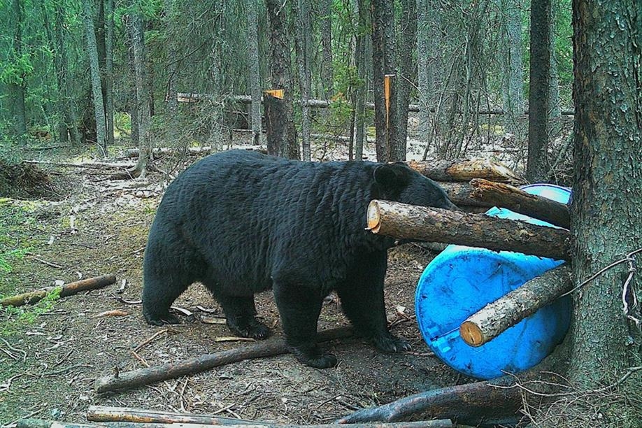 Silence of the North - Mirond Lake