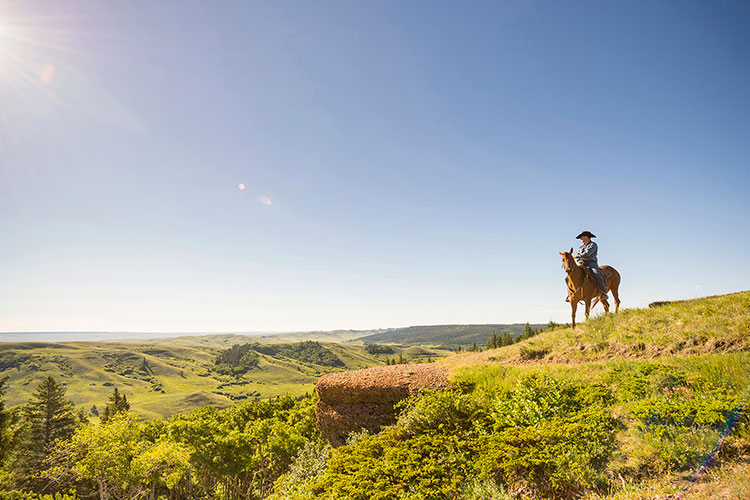 horseback riding Conglomerate Cliffs Cypress Hills Interprovincial Park southwest Saskatchewan 