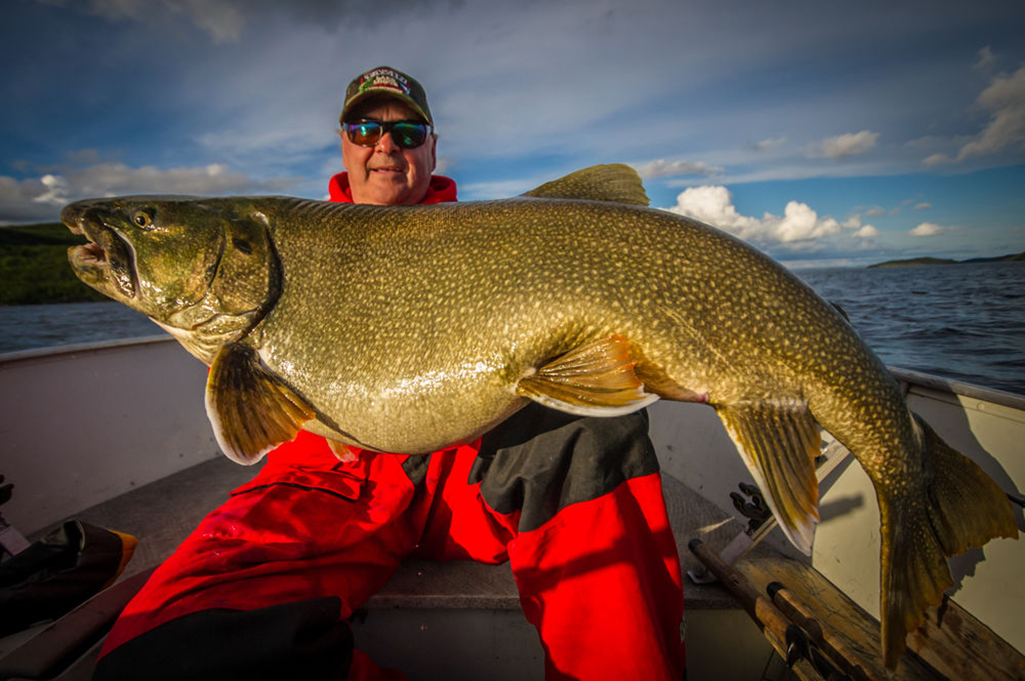 Barry Prall holds a 51 pound lake trout he caught on Tazin Lake in Northern Saskatchewan.