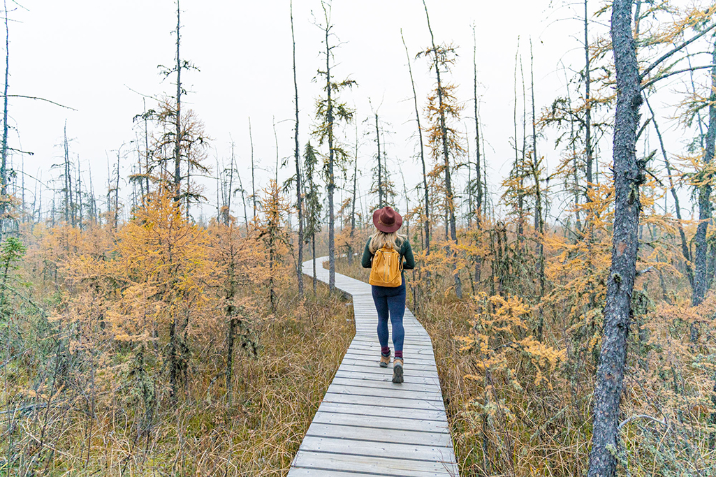 The Best Hiking Trails in Saskatchewan to see the Autumn Colours