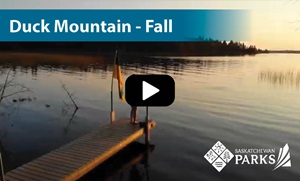 Duck Mountain Fall Camping