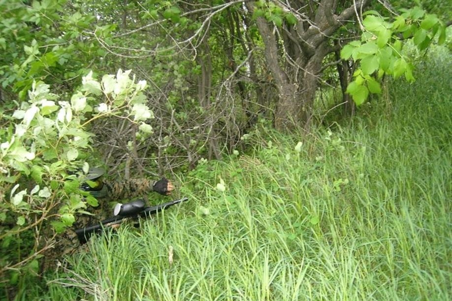 AA Paintball