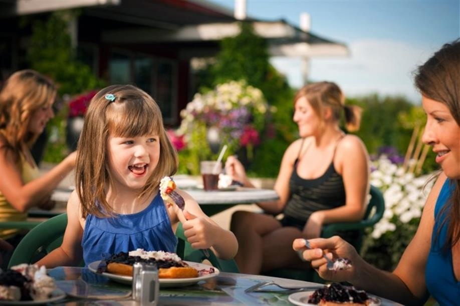 Berry Barn Eatery and Gift Shop