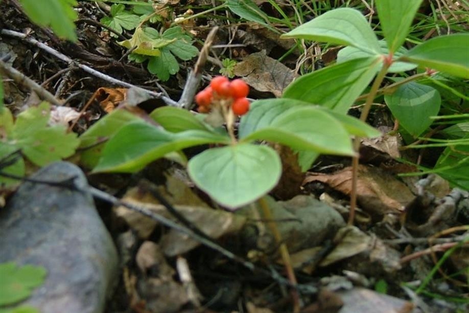 Experience a true unspoiled wilderness where around every bend, a new natural delight awaits you.

Bring your camera, lots of film and your sense of adventure.