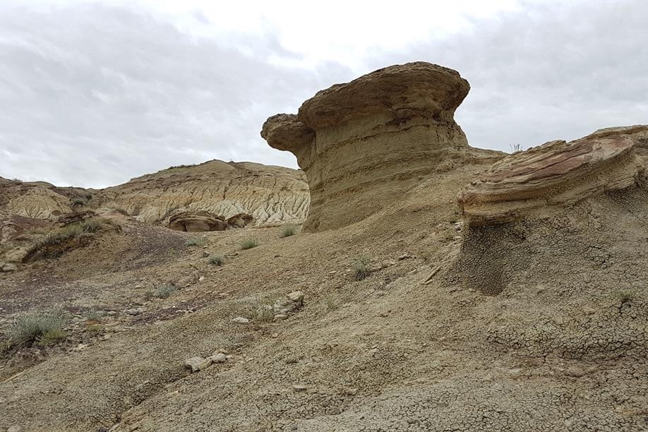 Avonlea Badlands Tour