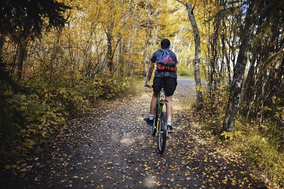 Bud Miller All Seasons Park