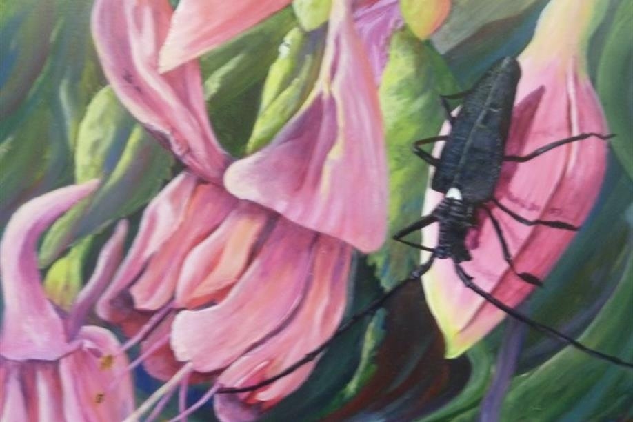 Birch Road Studio & Gallery