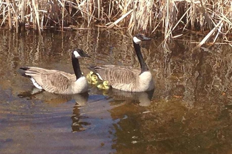 Battlefords River Valley Visitor Centre