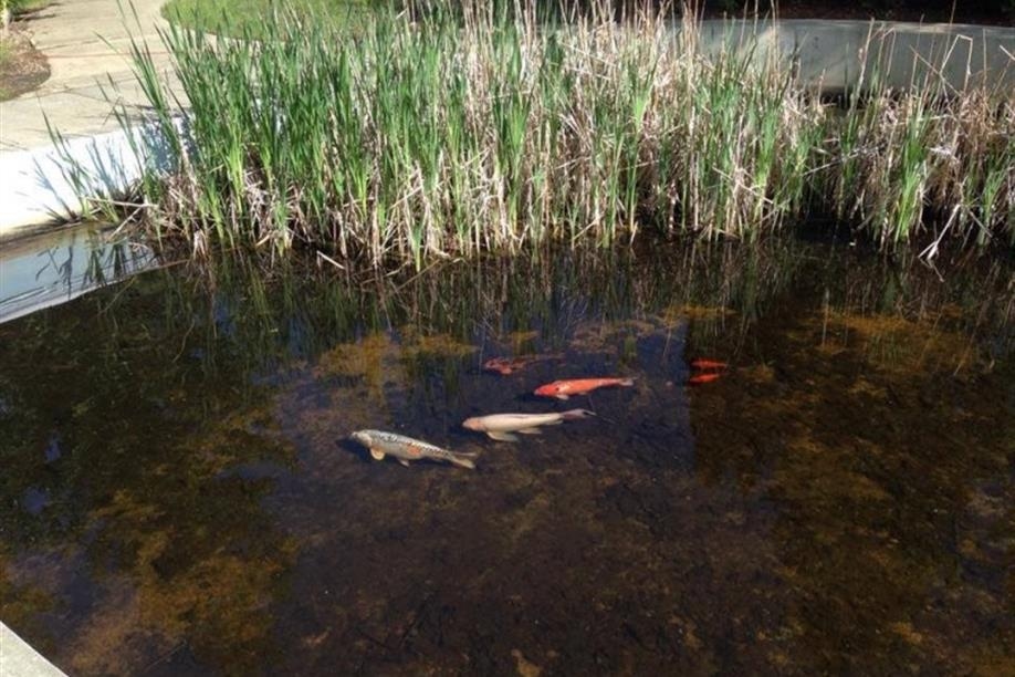 Battlefords River Valley Visitor Centre