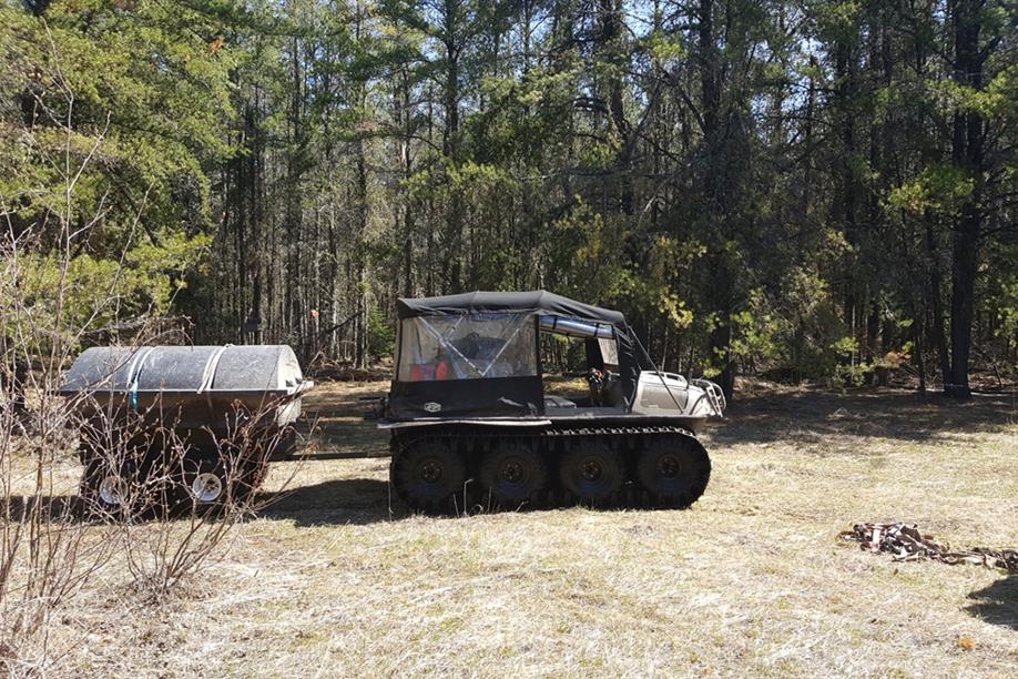 Bear Essential Wilderness Adventures