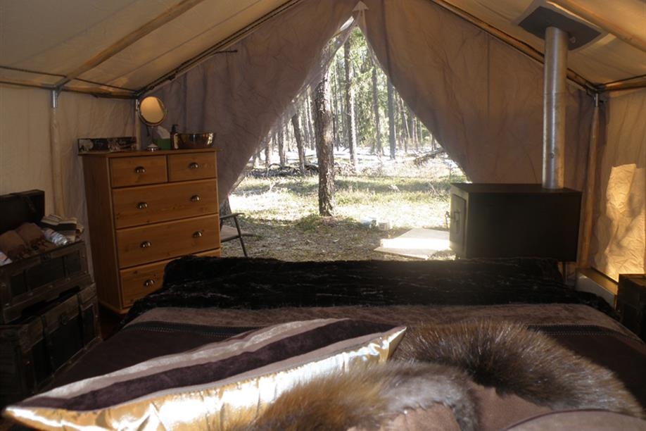 Bear Essential Wilderness Adventures