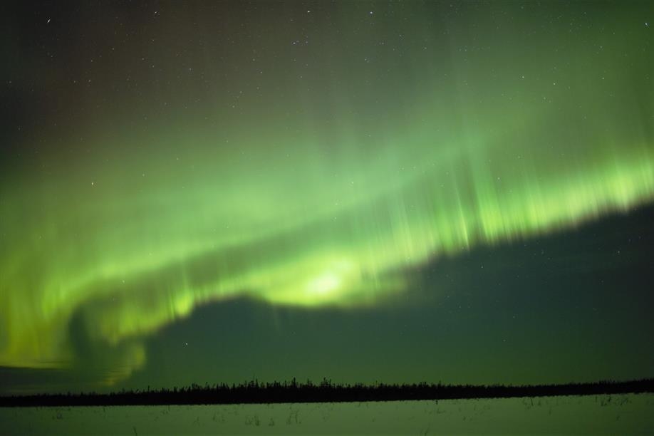 Bear Essential Wilderness Adventures