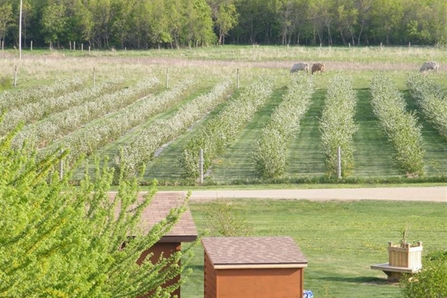 Bend in the River Berries