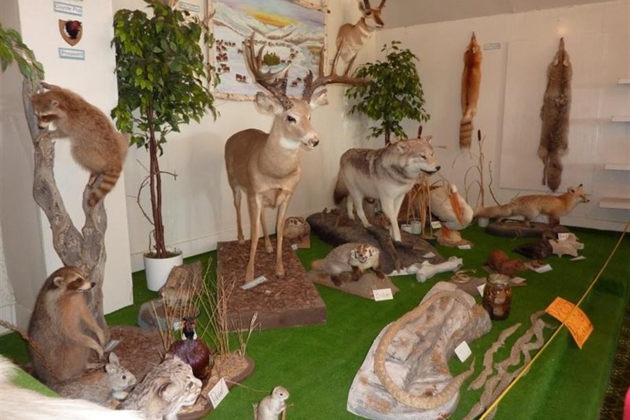 Big Muddy Nature Centre and Museum (Image: Kathy Rosenkranz)