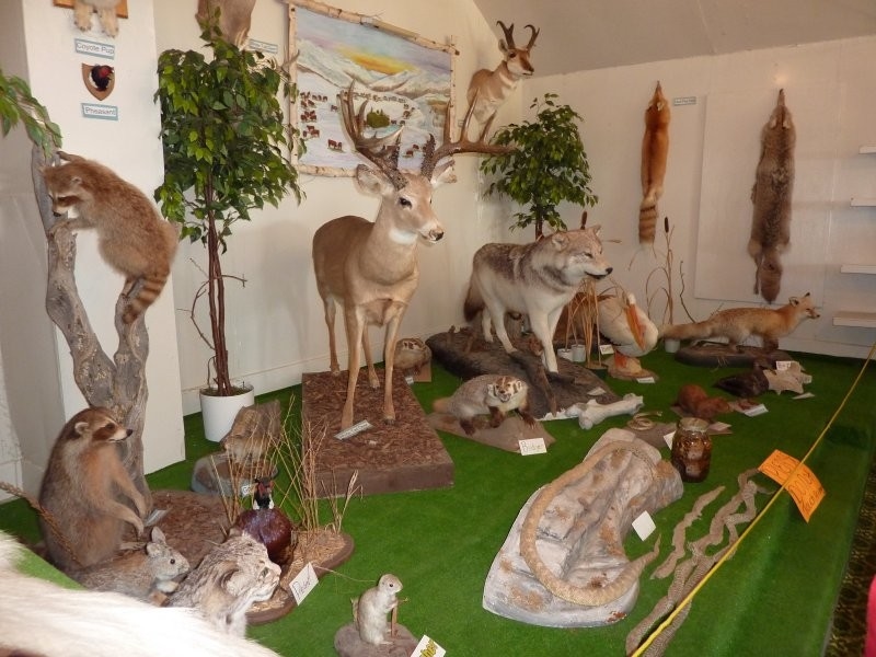 Big Muddy Nature Centre