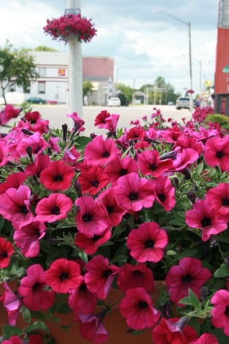 Blaine Lake - Main Street