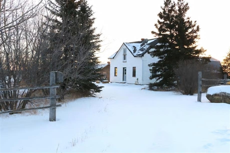 Blue Sky Berries - Grandma's House