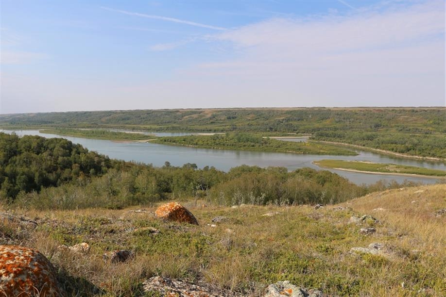 Blue Sky Berries - Grandma's House