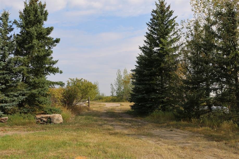 Blue Sky Berries - Grandma's House