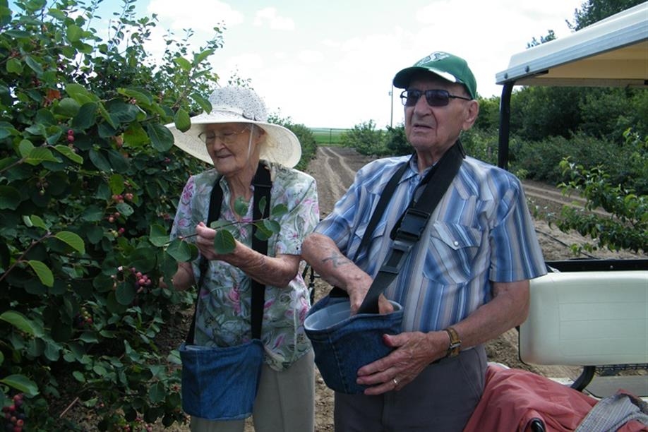 Bouvier's Berry Basket