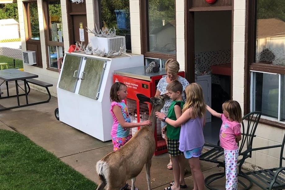 Buffalo View Campground