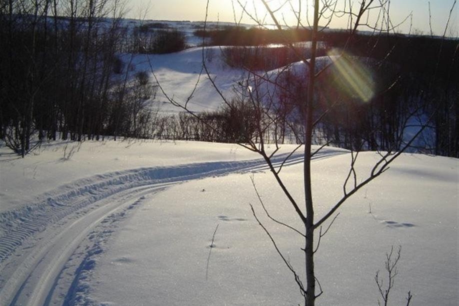 Carlton Trail Ski Club - Trail View