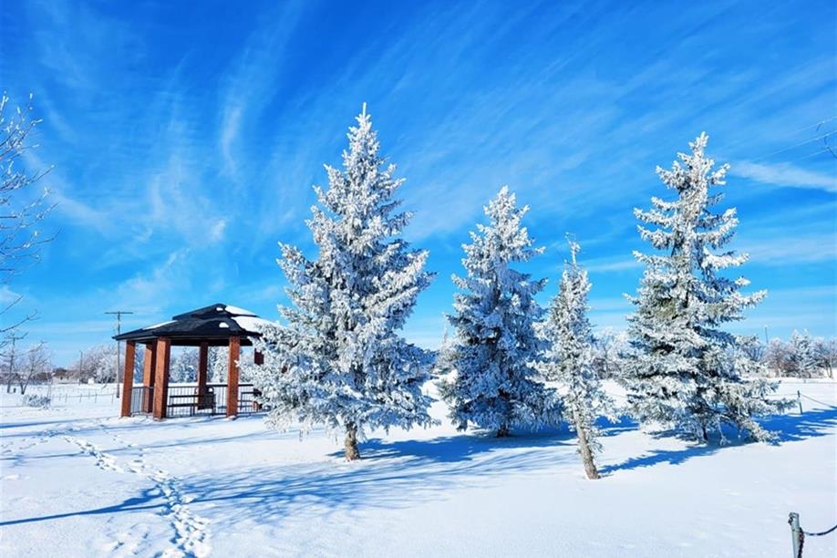 Carlyle Centennial Park and Spray Park