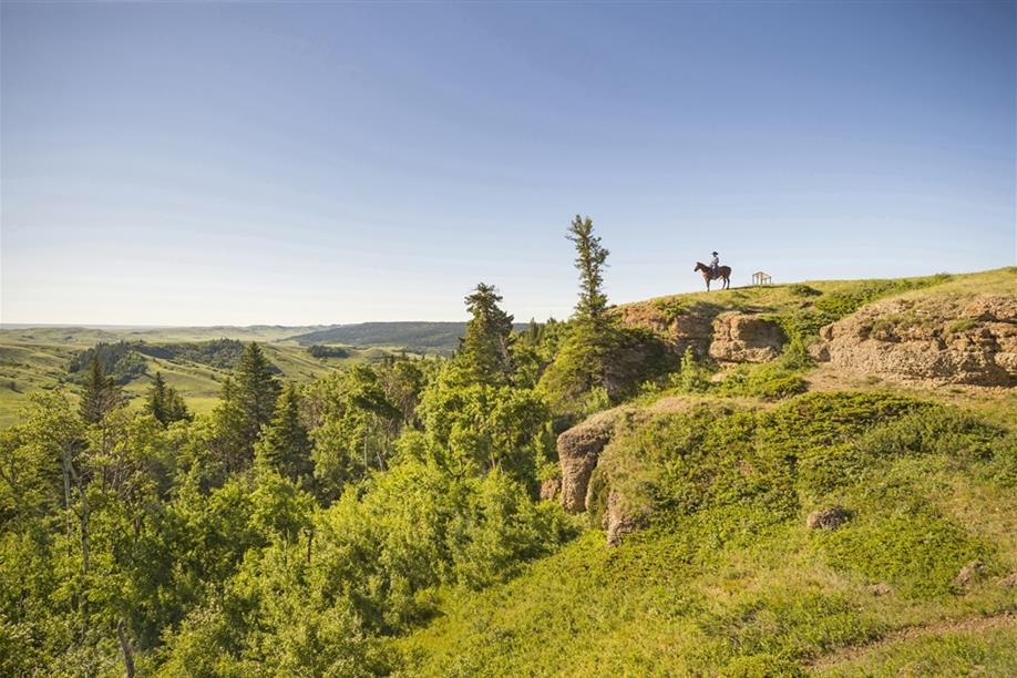 Cypress Hills Interprovincial Park - Conglomerate cliffs