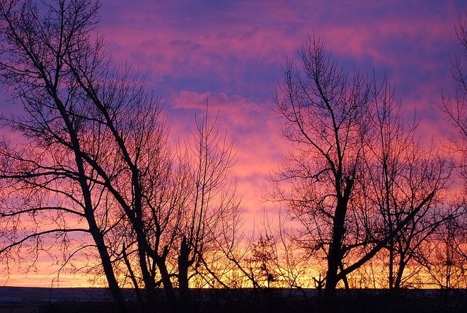 Consul - Image Jean Jones