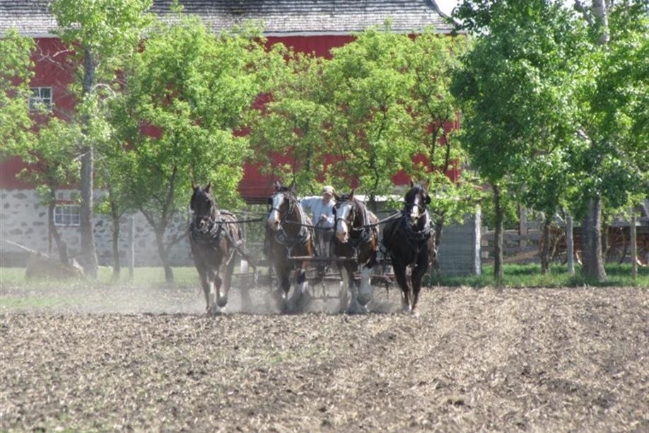 Motherwell Homestead National Historic Site of Canada - Cultivation