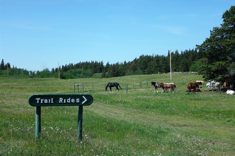 Cypress Hills Riding Academy