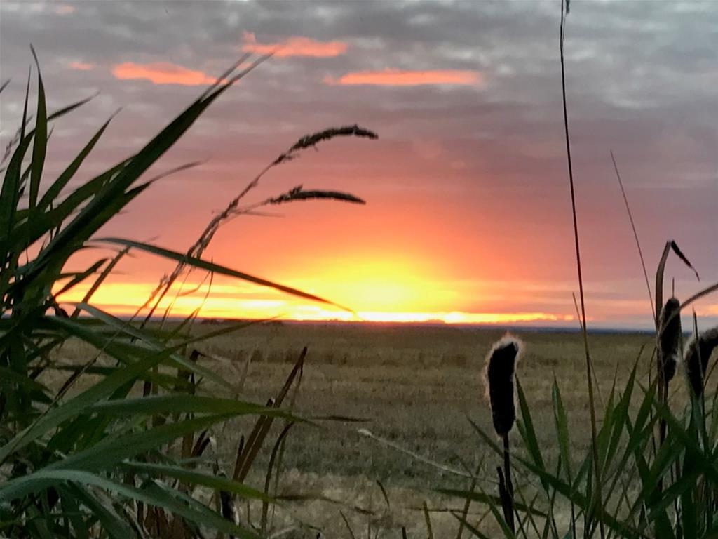 Duck Duck Goose Outfitters