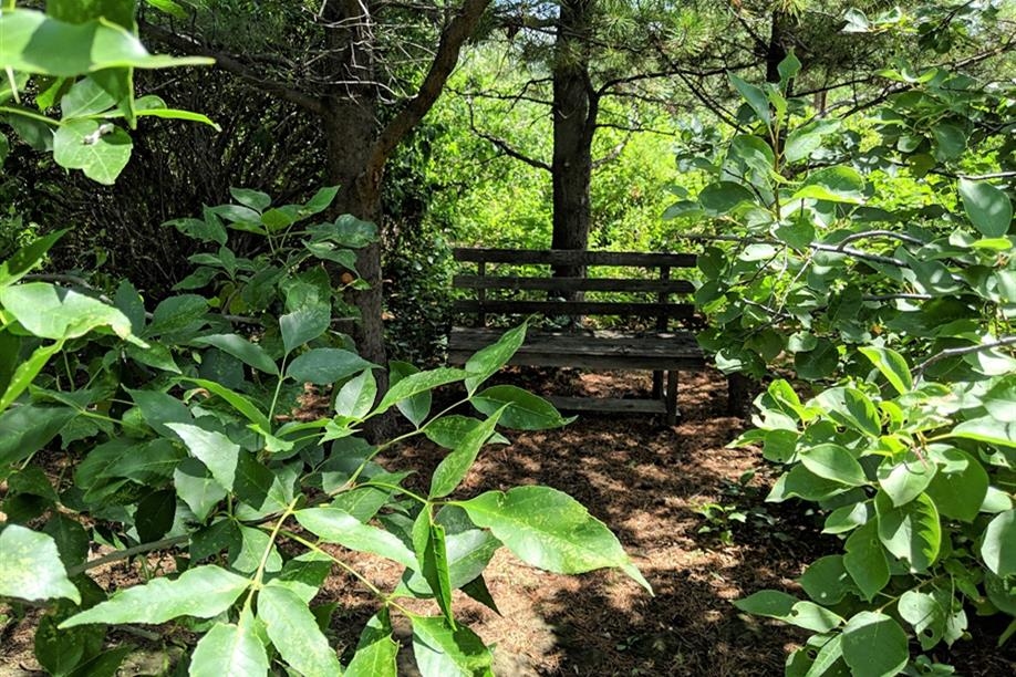 Dean Francis at Sagebrush Studios