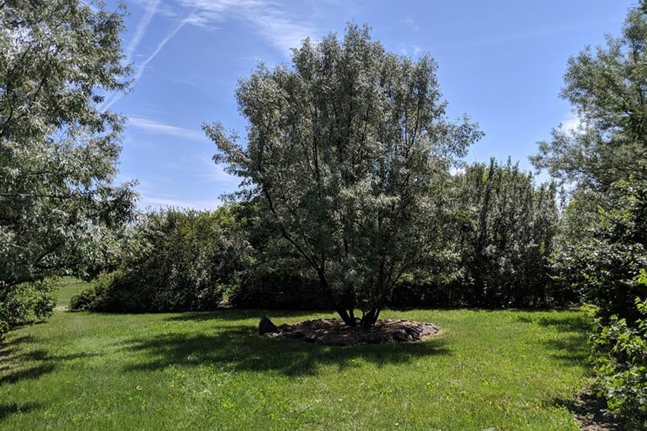 Dean Francis at Sagebrush Studios