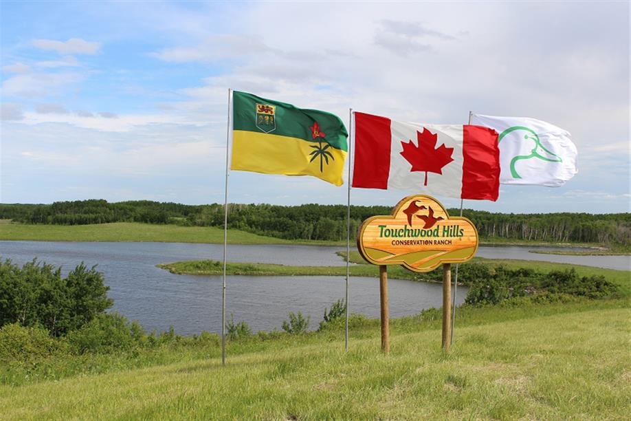 DUC’s Touchwood Hills Conservation Ranch is a working ranch where practices like waterfowl friendly grazing are demonstrated.