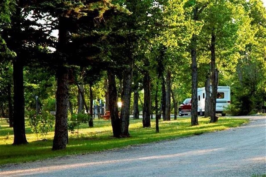 We offer 101 electrical sites (15 & 30 amp) and 15 non-electrical sites. 72 of these large private sites are pull-through, so big rigs are welcome.