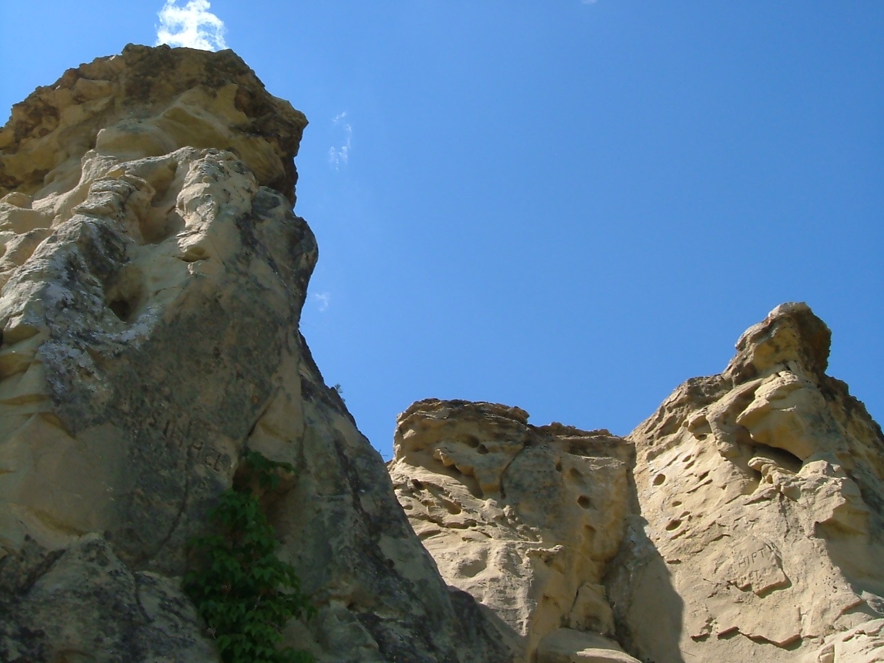 Estevan Area Landscape