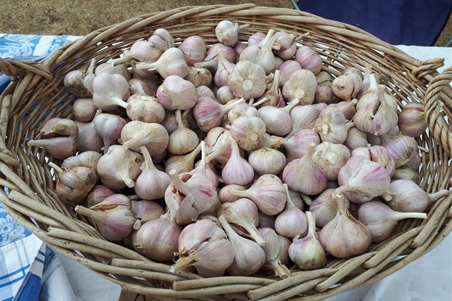 Fort Qu'Appelle and District Farmers' Market