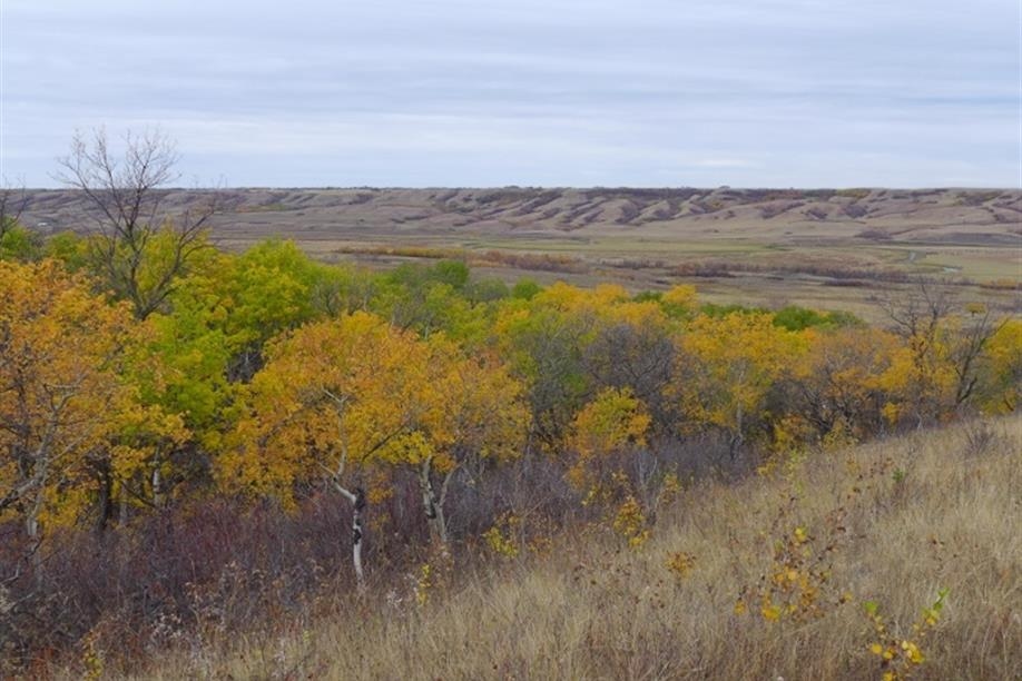 Fairy Hill Trail; Photo: Nick Fiorante