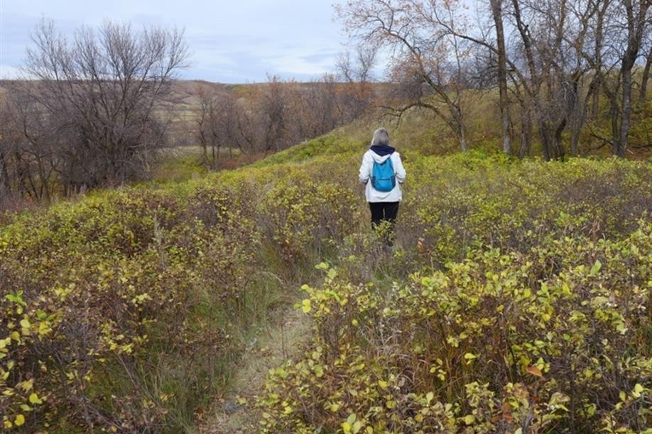 Fairy Hill Trail; Photo: Nick Fiorante