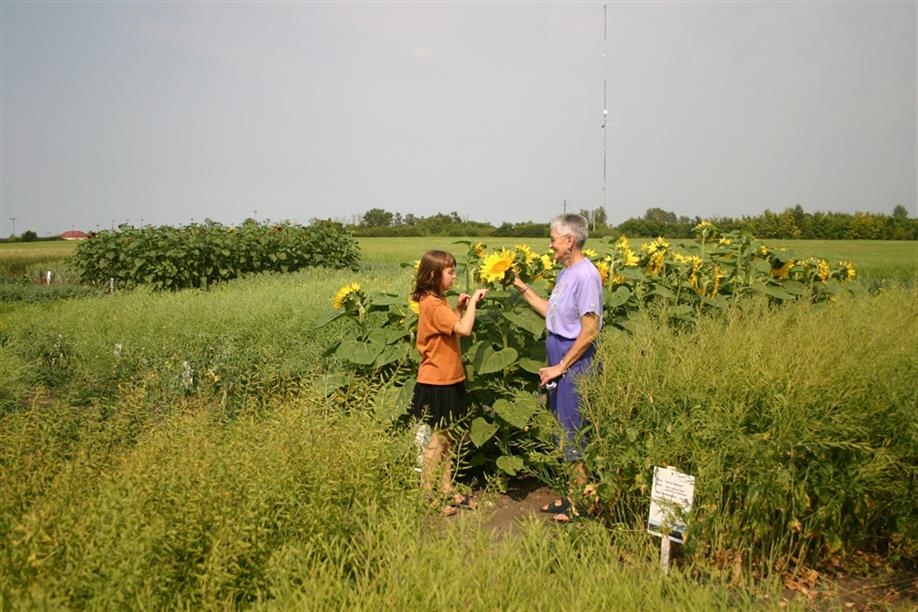 Crops of the Parkland Walking Tour