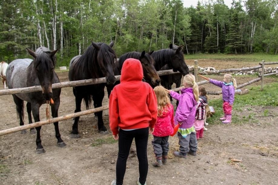 Fir River Ranch Bed & Breakfast