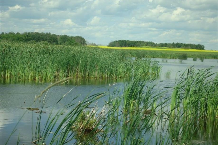 Foam Lake Heritage Marsh and Foam Lake Nature Centre