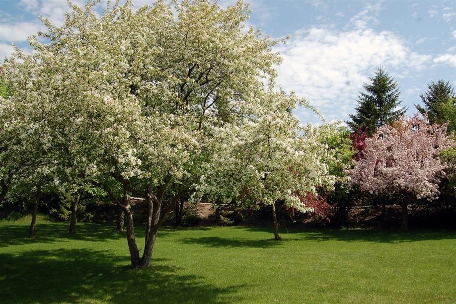 Saskatoon Forestry Farm Park & Zoo