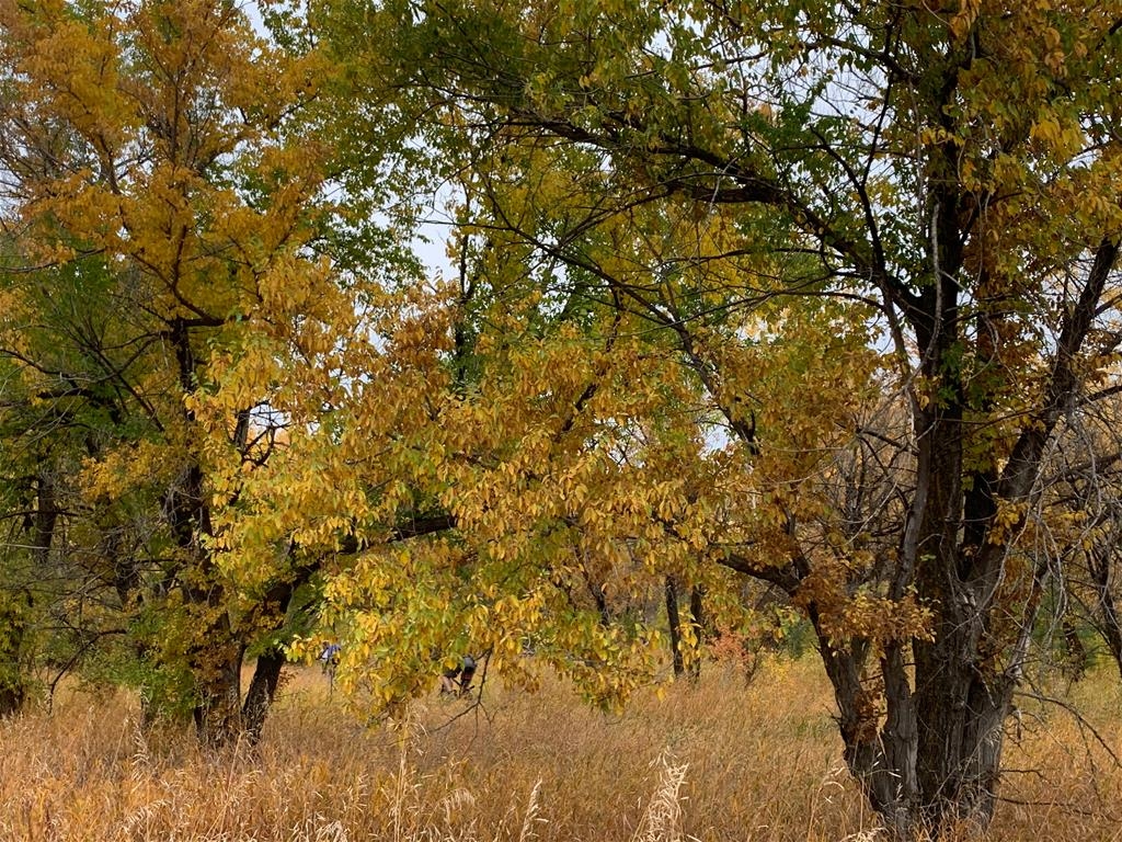 George Genereux Urban Regional Park