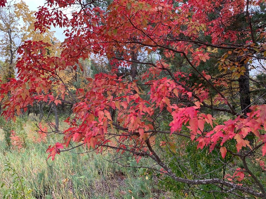 George Genereux Urban Regional Park