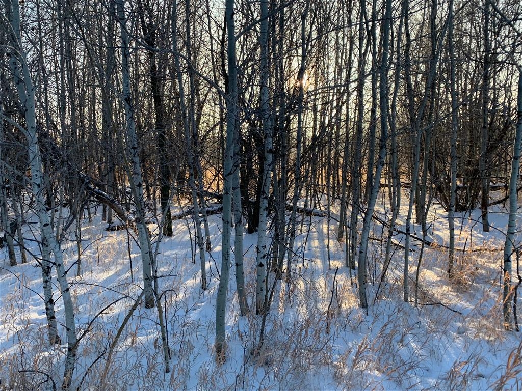 George Genereux Urban Regional Park