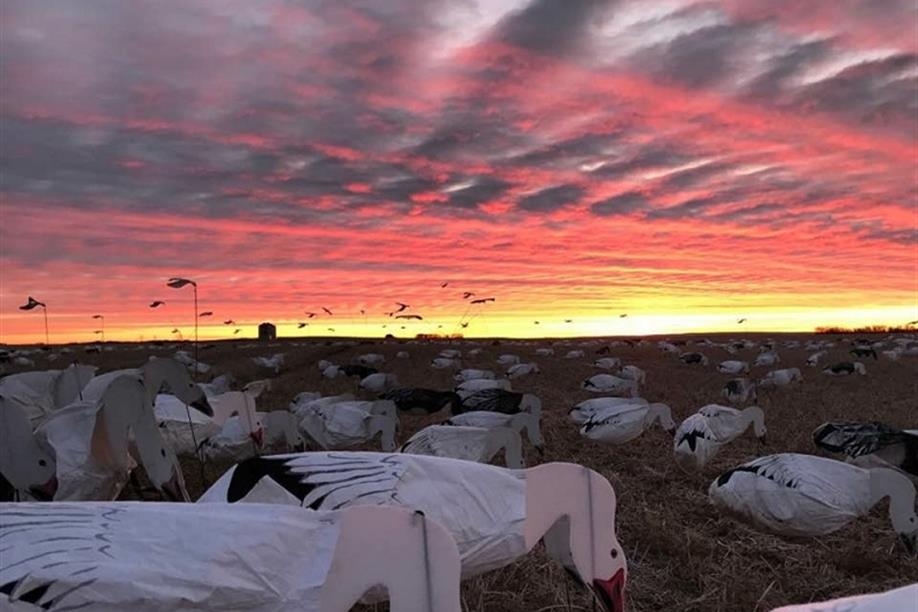 G & S Marina Outfitters